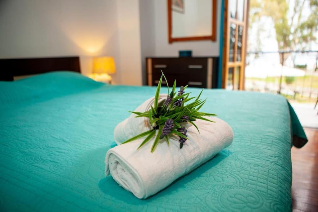 City Center, Sea View Apartment, Amelia! Anemomylos Екстер'єр фото